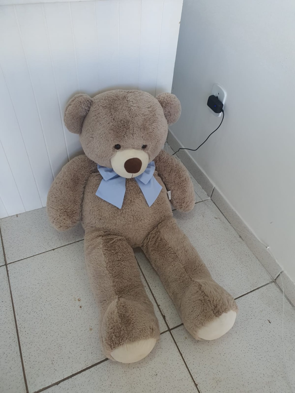 Urso Em Pelúcia - Encante festas e locações