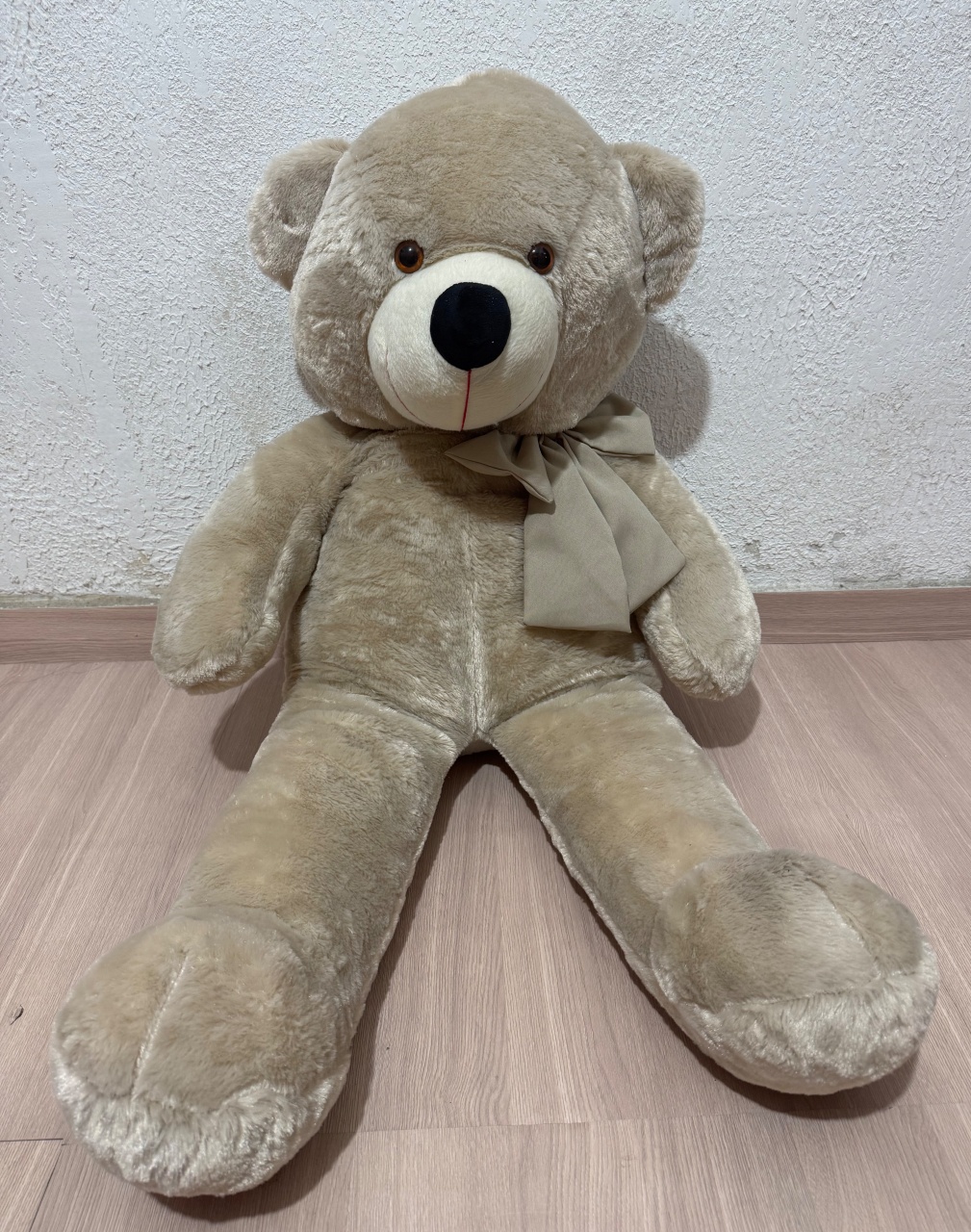 Urso - Mundo dos Sonhos