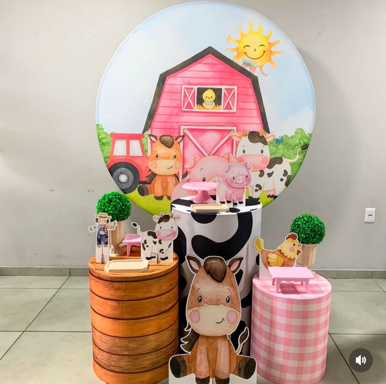 Fazendinha Menina-Prata - D´Coração Festaria