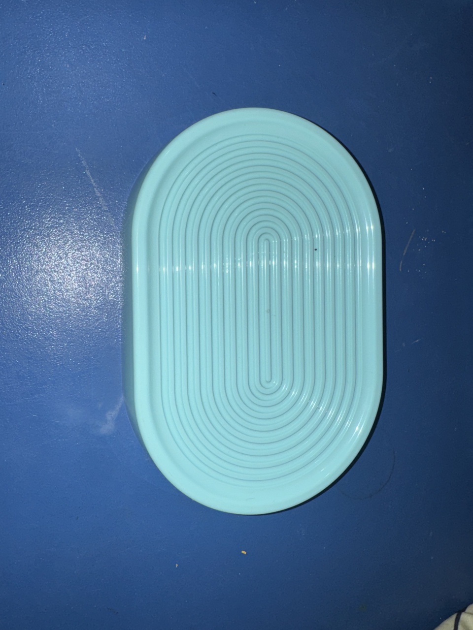 Bandeija Oval Azul - Patricia Pessoa Leonel Barbosa 