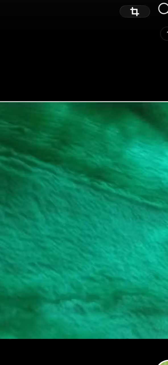 Tapete Verde Bandeira 2M - Patricia Pessoa Leonel Barbosa 