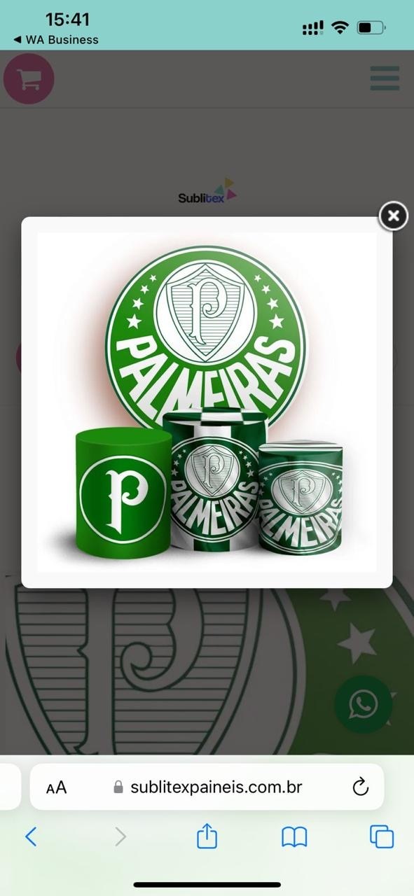 Kit Palmeiras - Patricia Pessoa Leonel Barbosa 