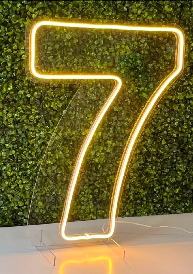 Número Led Neon 50Cm - 7 - Debora Conceição Rangel 