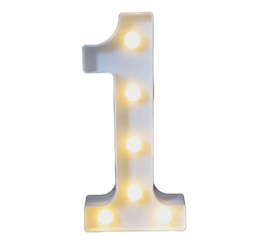 Número Led Neon 22Cm - 1 - Debora Conceição Rangel 
