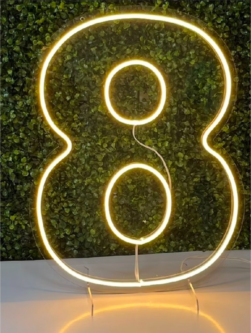 Número Led Neon 50Cm - 8 - Debora Conceição Rangel 