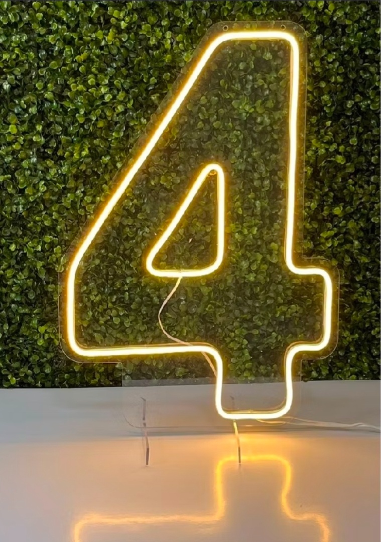 Número Led Neon 50Cm - 4 - Debora Conceição Rangel 