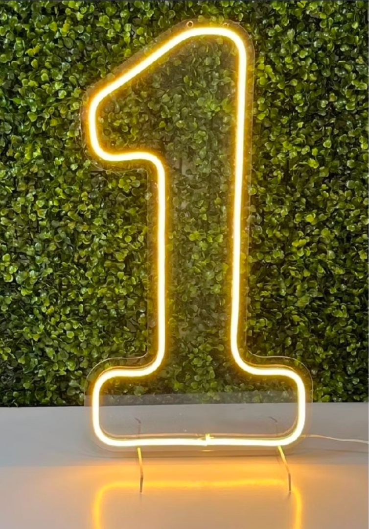 Número Led Neon 50Cm - 1 - Debora Conceição Rangel 