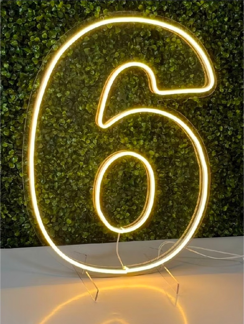 Número Led Neon 50Cm - 6 - Debora Conceição Rangel 