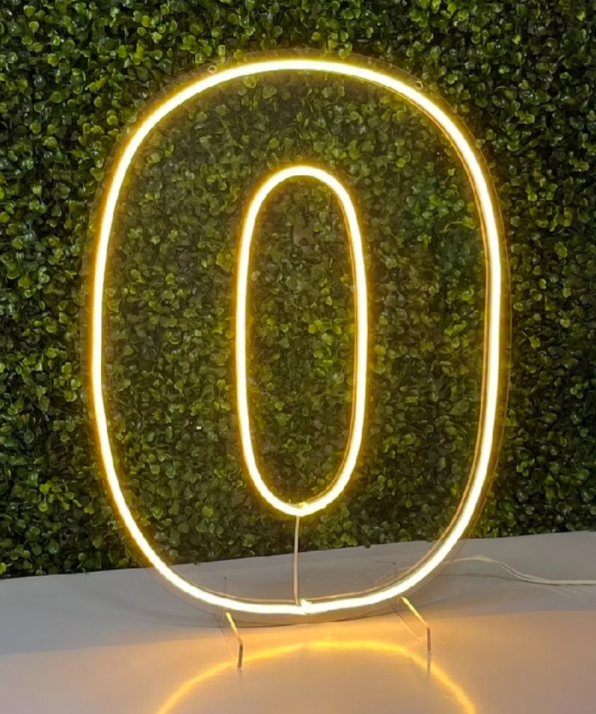 Número Led Neon 50Cm - 0 - Debora Conceição Rangel 