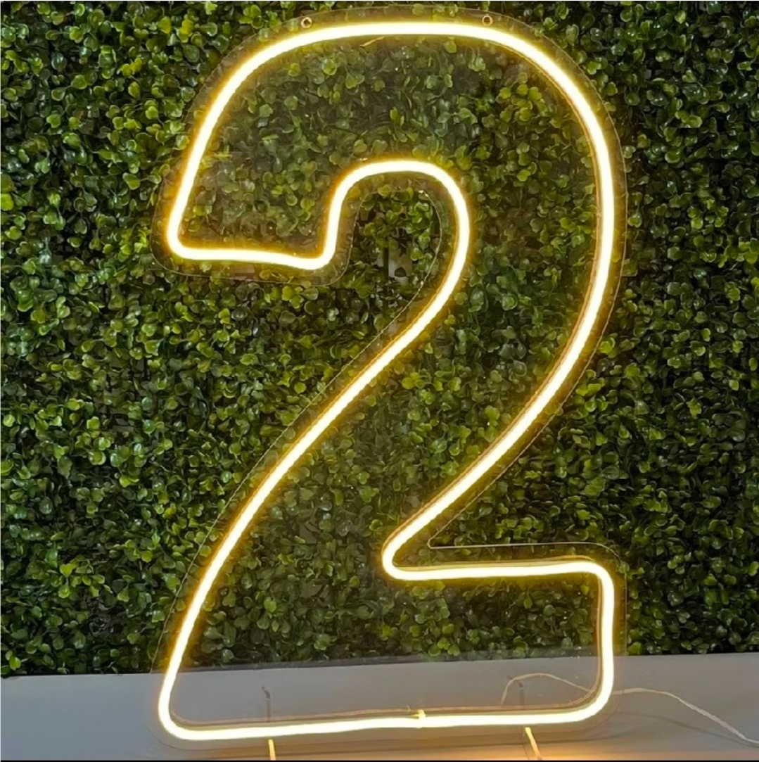 Número Led Neon 50Cm - 2 - Debora Conceição Rangel 