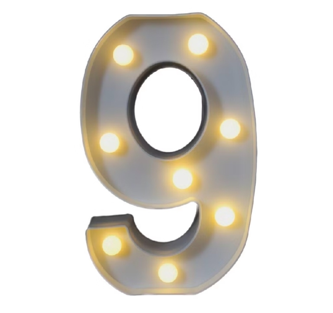 Número Led Neon 22Cm - 9 - Debora Conceição Rangel 