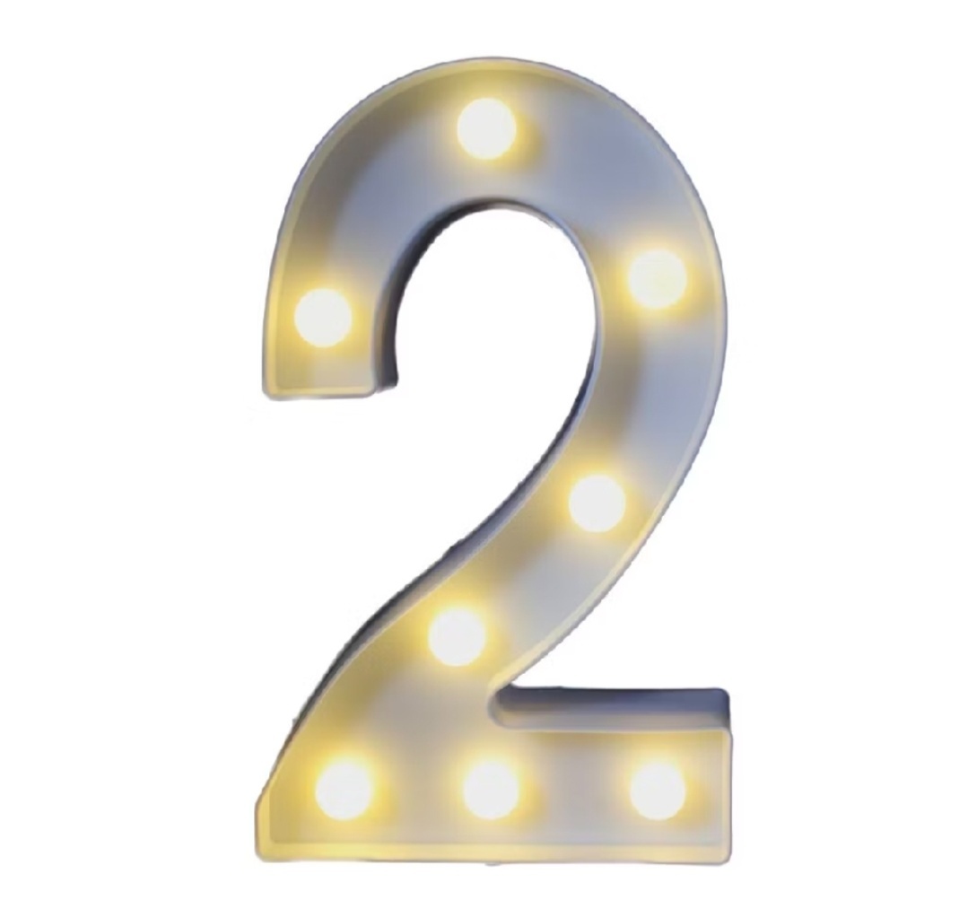 Número Led Neon 22Cm - 2 - Debora Conceição Rangel 