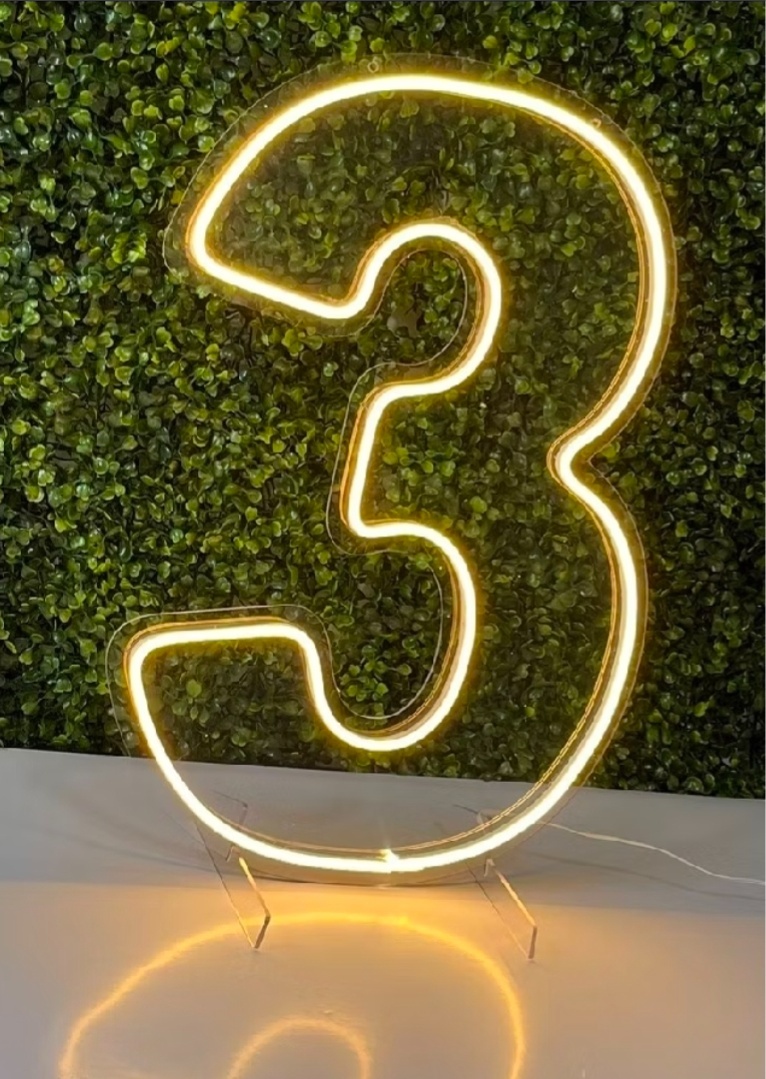 Número Led Neon 50Cm - 3 - Debora Conceição Rangel 