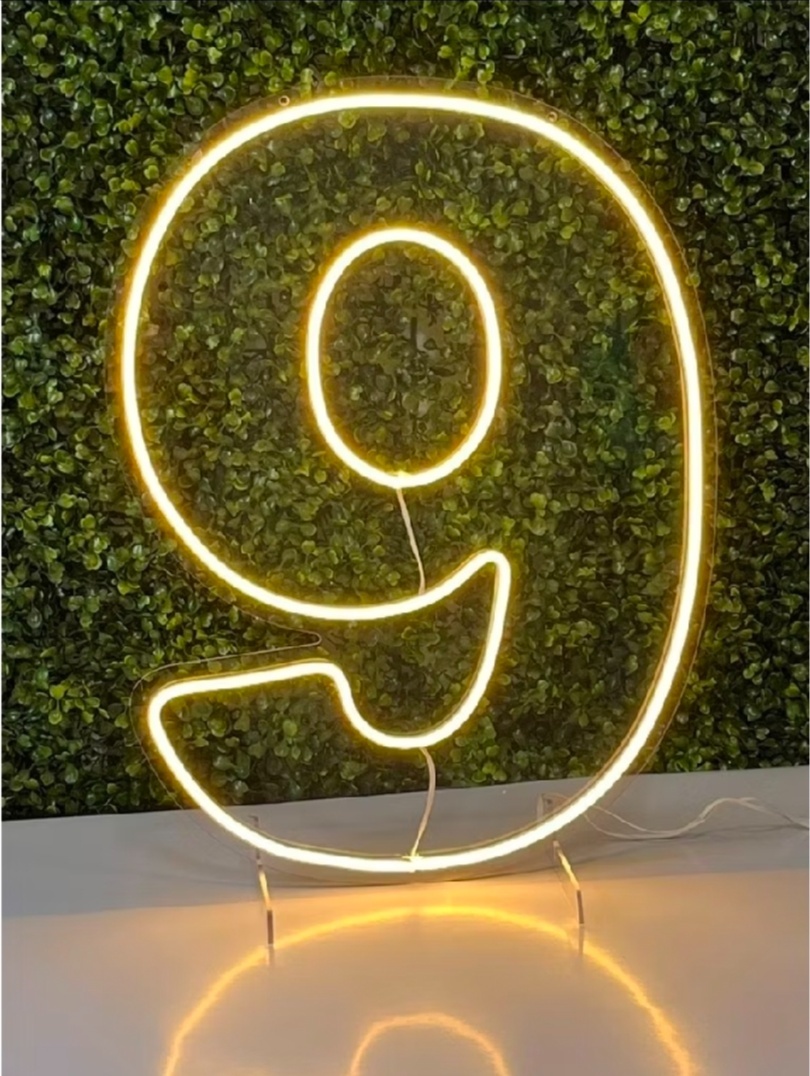 Número Led Neon 50Cm - 9 - Debora Conceição Rangel 
