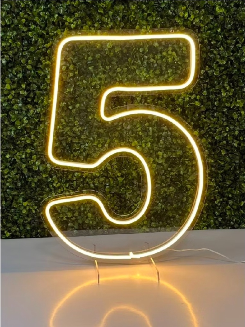 Número Led Neon 50Cm - 5 - Debora Conceição Rangel 