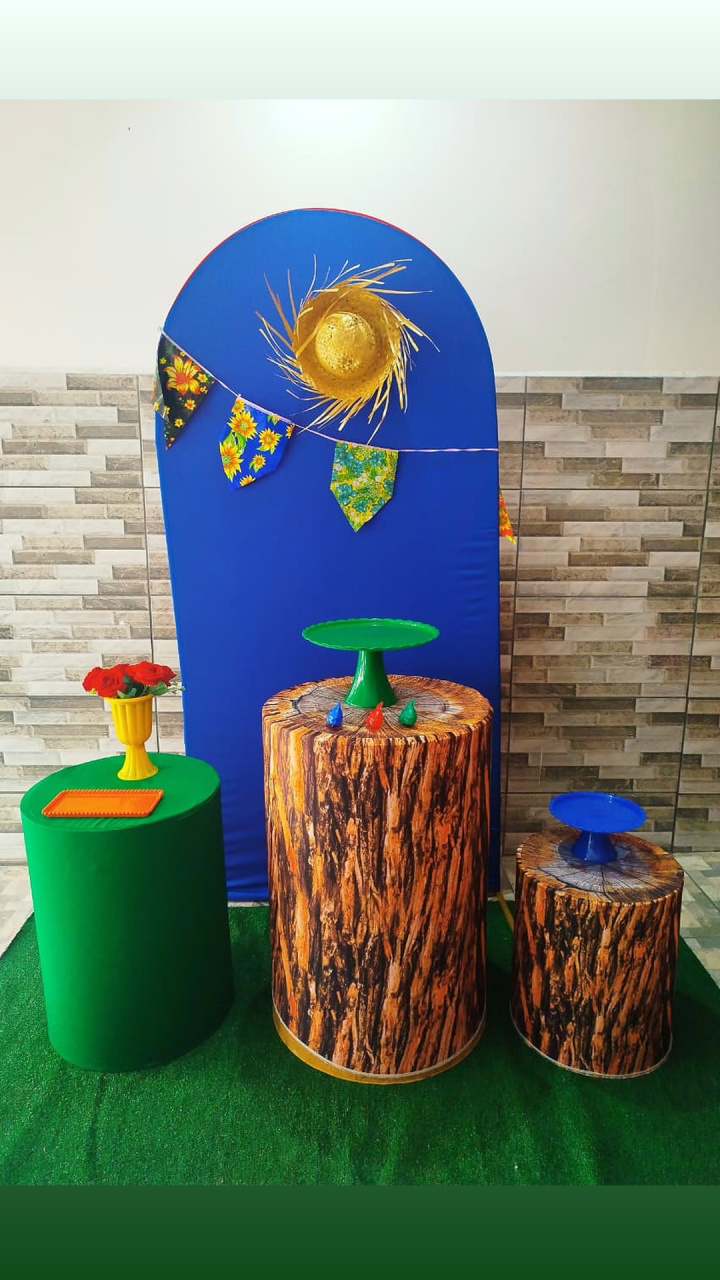 Festa Junina Prata Minimalista - Sonhos e Festas 