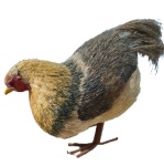 Galinha Realista Modelo 1 - imagem 1
