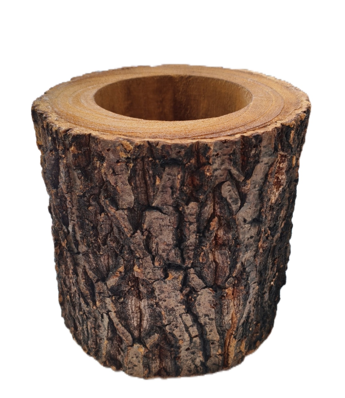 Vaso Tronco de Madeira - Jardim de Sonhos