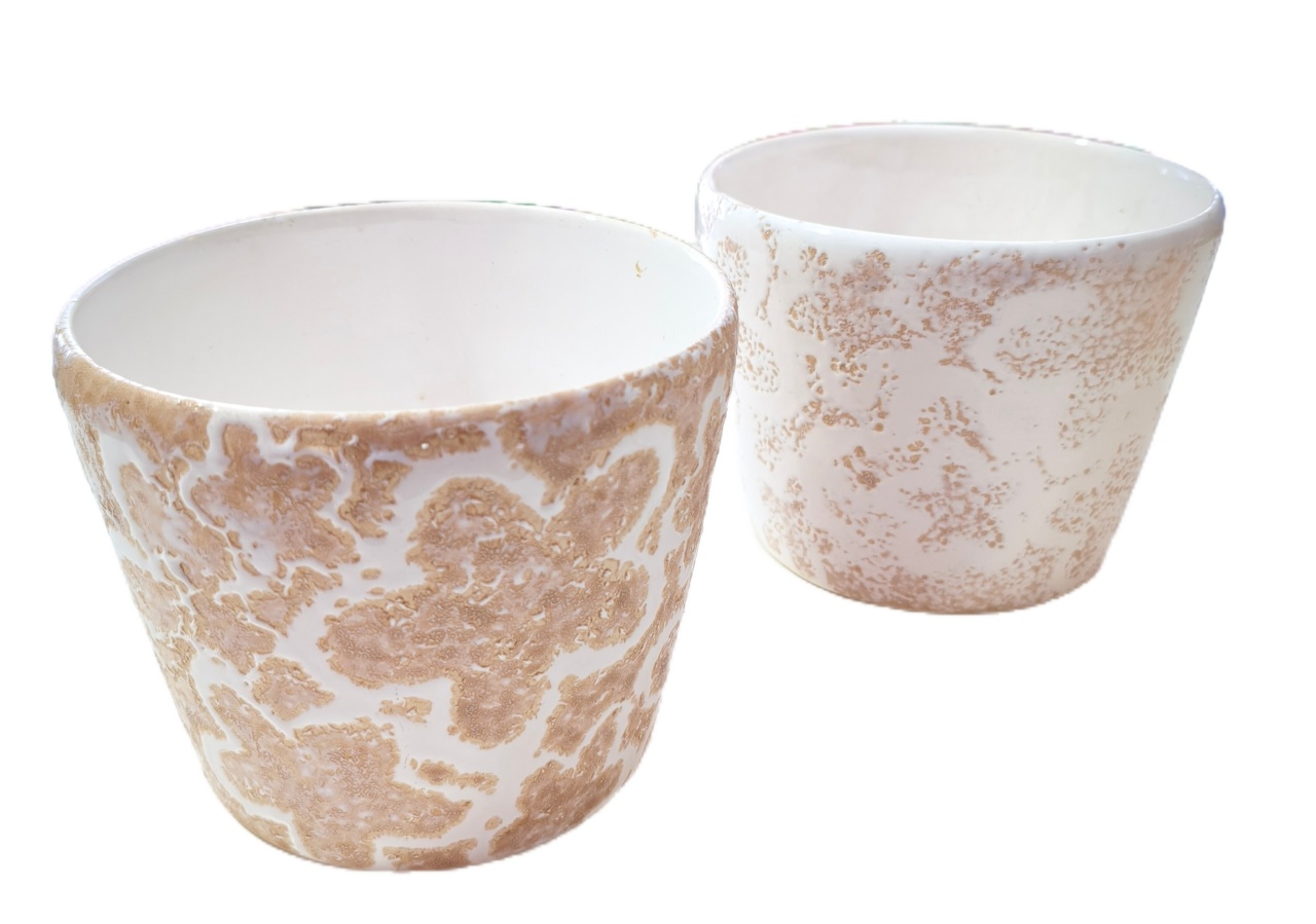 Dupla Cachepot Bege - Jardim de Sonhos