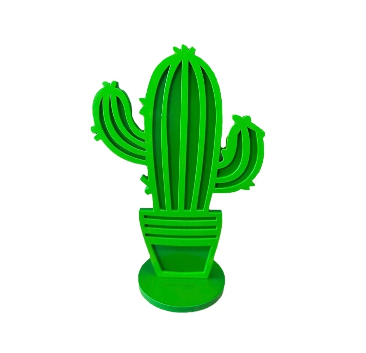 Display Cactus - Jardim de Sonhos