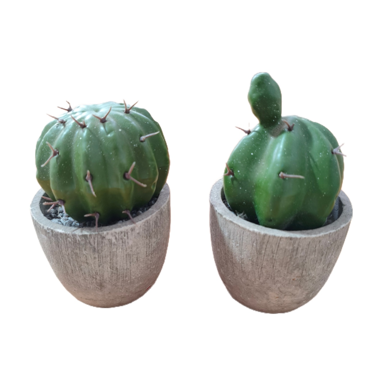 Dupla Mini Cactus - Jardim de Sonhos