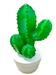 Cactus Cerâmica 1 - imagem 1