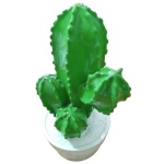 Cactus Cerâmica 1 - imagem 2