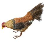 Galinha Realista Modelo 2 - imagem 2