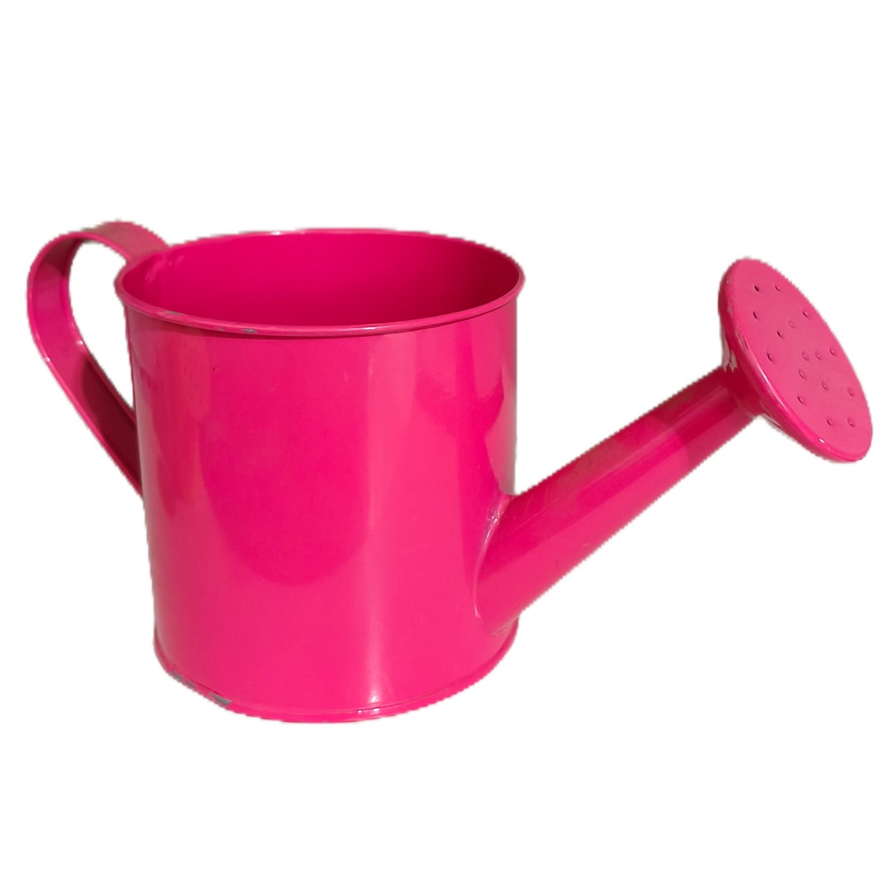 Regador Metal Pink - Jardim de Sonhos