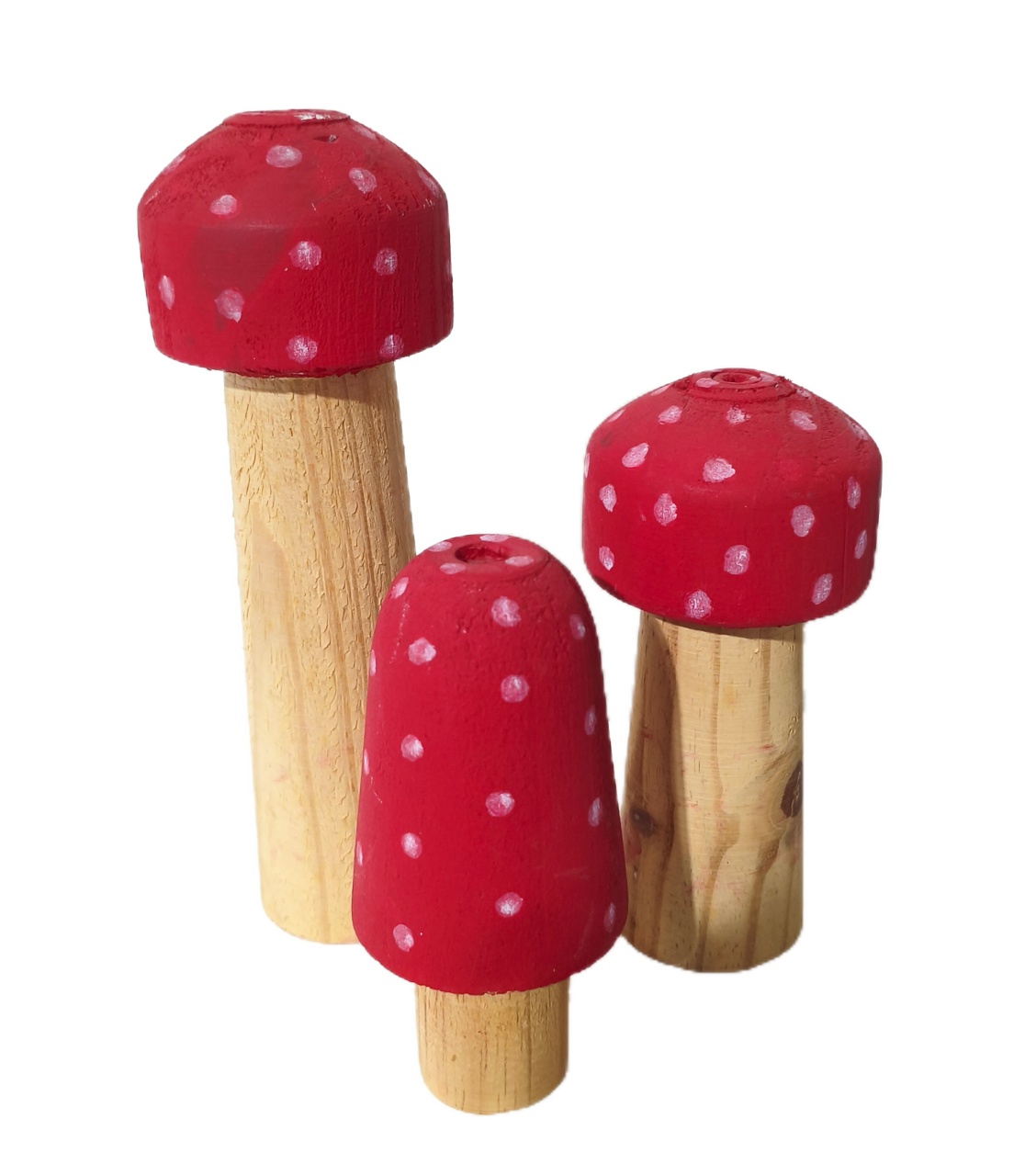 Trio Cogumelos Vermelhos Pinus - Jardim de Sonhos