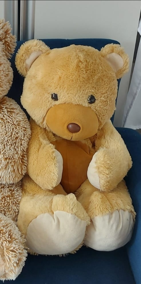 Urso de Pelúcia M - Magic Pegue e Monte / Day Larocca Locação de Vestido de Festa
