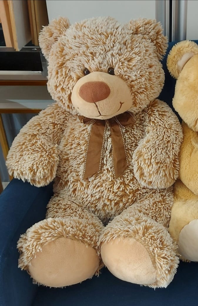 Urso de Pelúcia G - Magic Pegue e Monte / Day Larocca Locação de Vestido de Festa