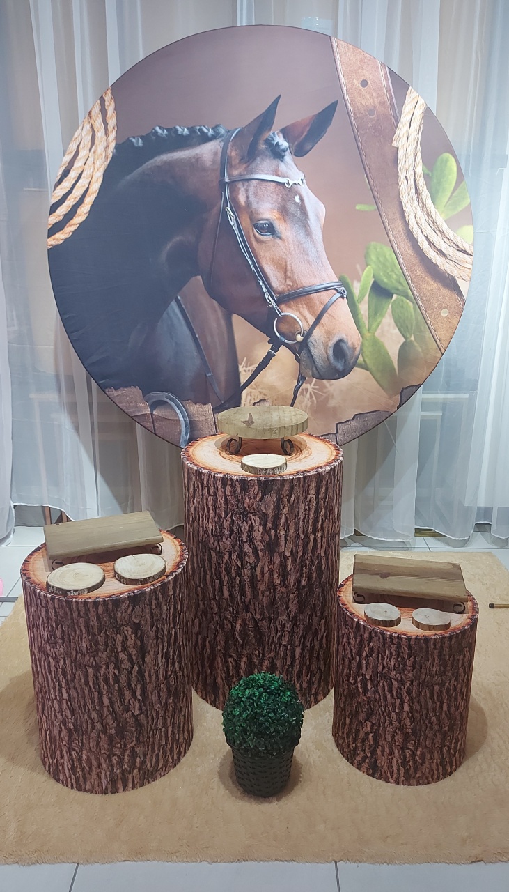 Kit Base Cavalo - Magic Pegue e Monte / Day Larocca Locação de Vestido de Festa
