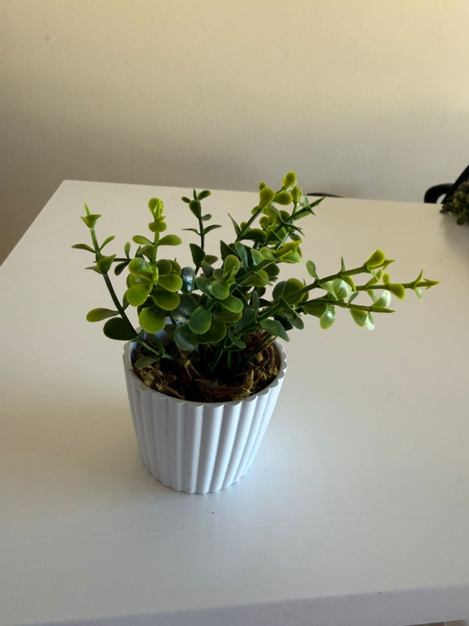 Vasinho Com Planta Pp - D'fest decor- pegue e monte 