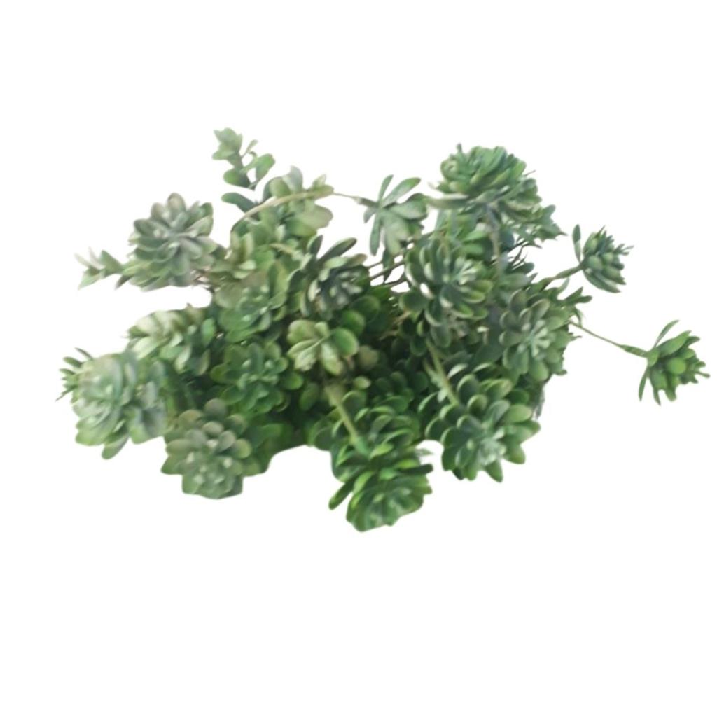 Buque Folhagem Suculenta - Rocha Decorações