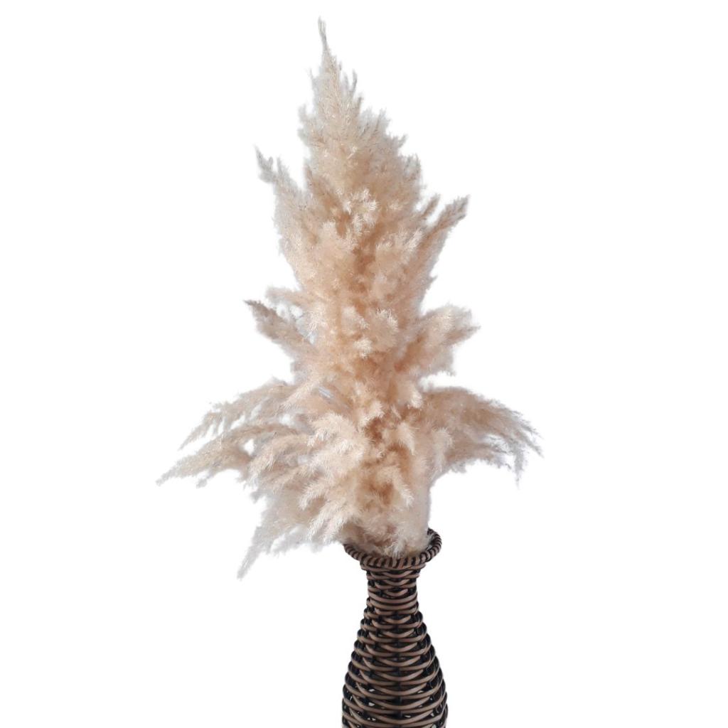 Pluma / Capim dos Panpas - Rocha Decorações