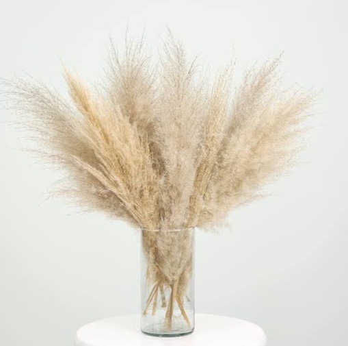 Arranjo de Pluma / Capim dos Pampas - Rocha Decorações Pegue e Monte Itatiba