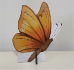 Borboleta (Cores) Display - imagem 2