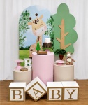 Safari Cha de Bebe Menina Kit Duo Romano 7745 - imagem 2