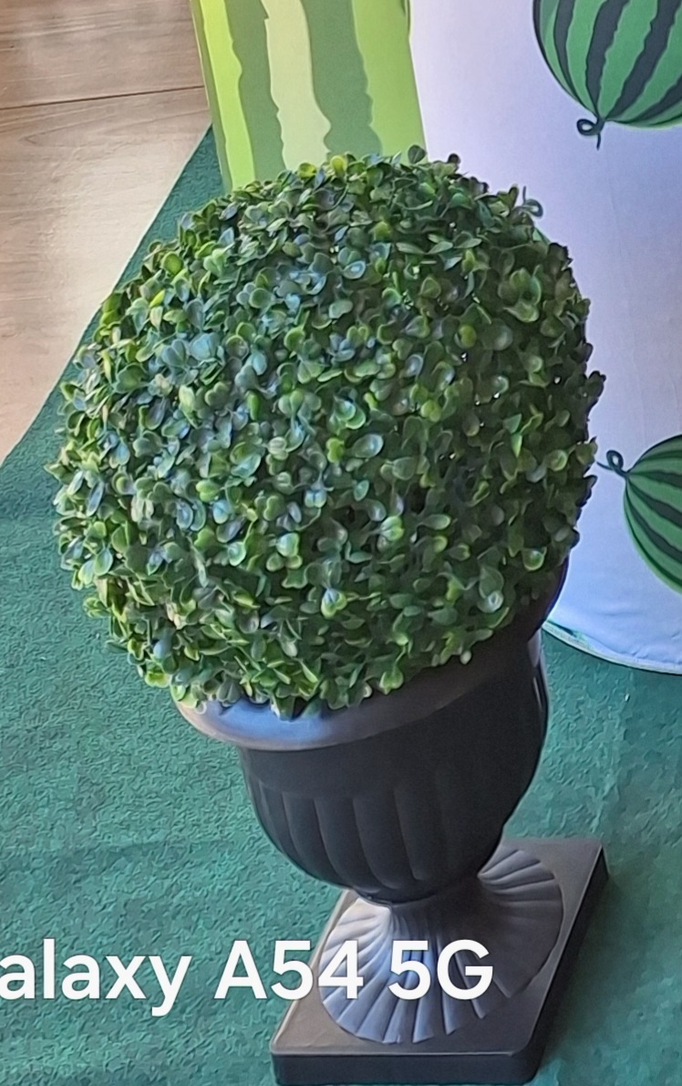 Vaso Chao - Daiane Aparecida de Araújo 