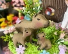 Topo de Bolo Capivara Em Biscuit Topo de Bolo Capivara - imagem 3