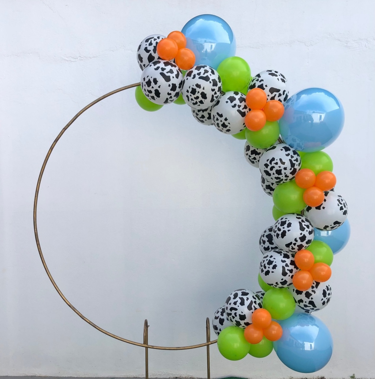 Arco de Balões (Organico Misturado E Estampado) 16 Azul Claro, 9 Estampado Vaquinha E Verde Limão, 5 Laranja - Tamires Pegue e Monte Uberaba