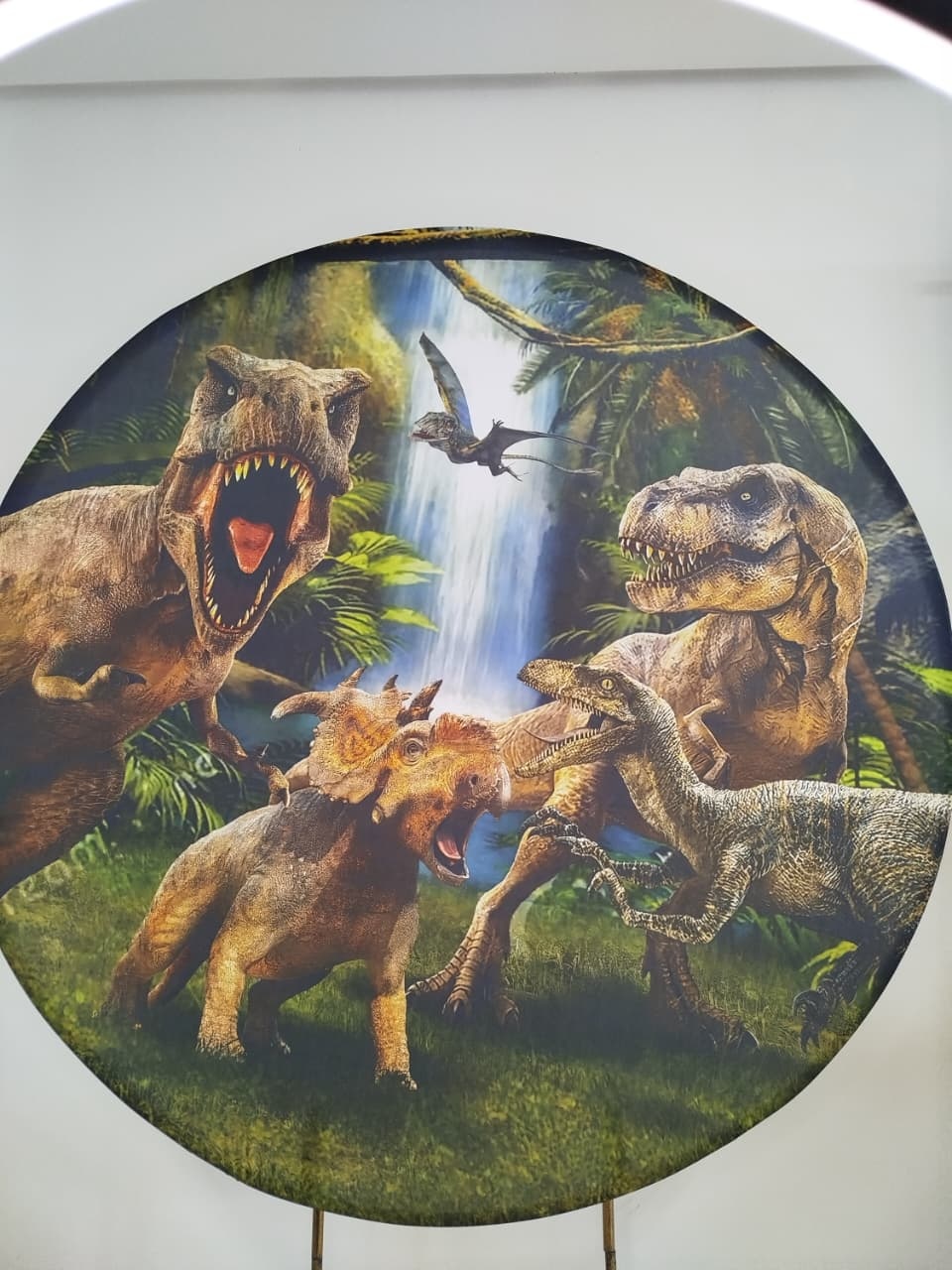 Capa Painel Redondo Dinossauro - Decoração de Mãe