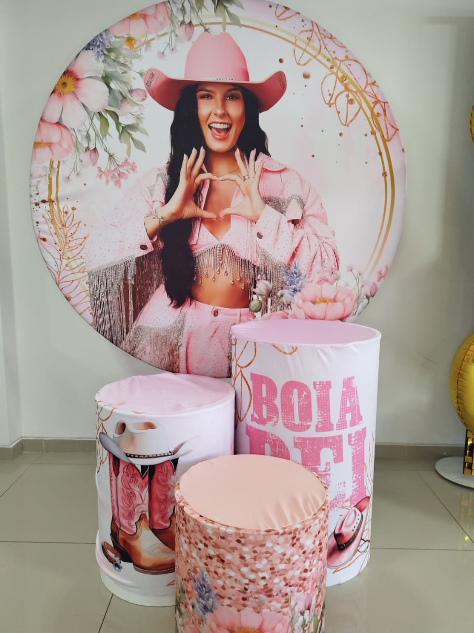 Kit Capa Painel E Capas Cilindros Boiadeira Ana Castela - Decoração de Mãe