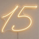 Número 15 | Manual - imagem 1