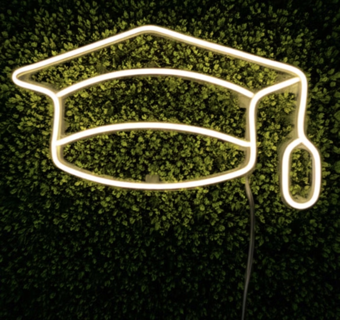 Capelo Led - Sileni Rocha decorações