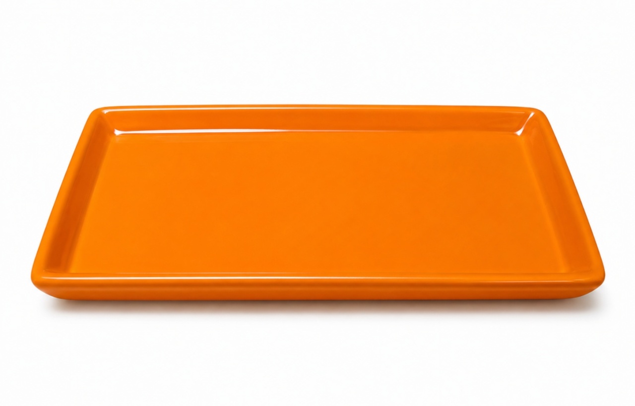 Bandeja P Laranja - Mimi Decorações