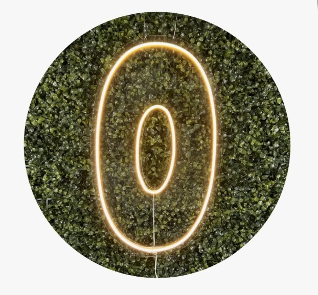 Números de Neon Led 0 50 Cm - Fábrica de Emoções Locações