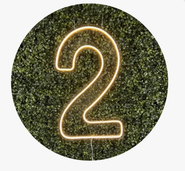 Números de Neon Led 2 50 Cm - Fábrica de Emoções Locações