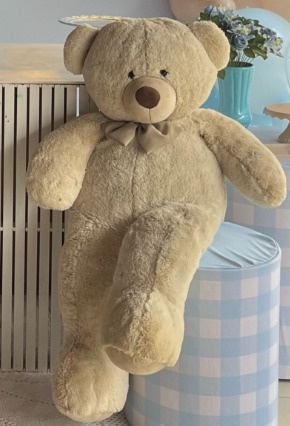 Urso Grande - FESTAR